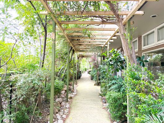 敷地内お庭お散歩コース③