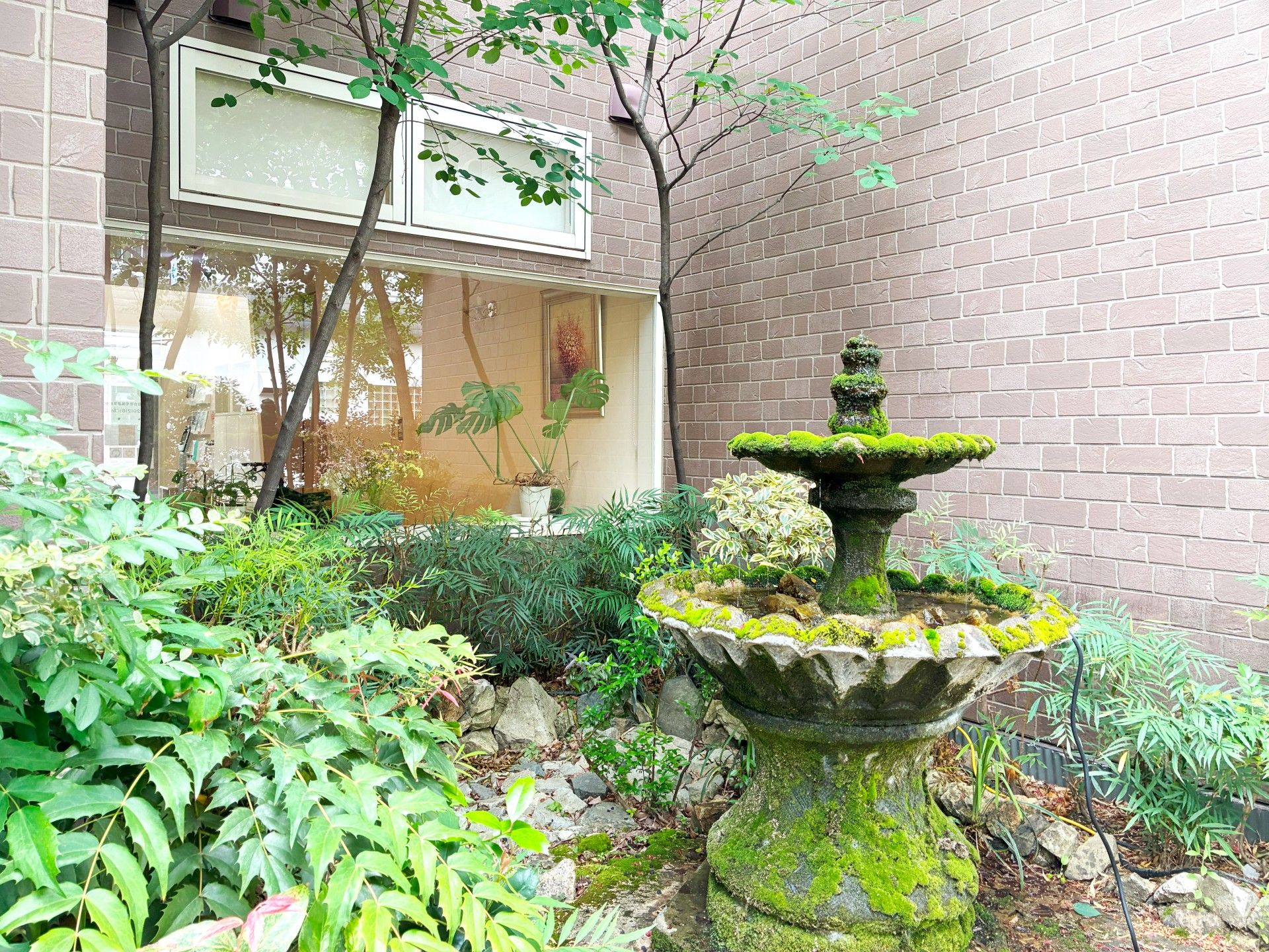 緑豊かな中庭の噴水