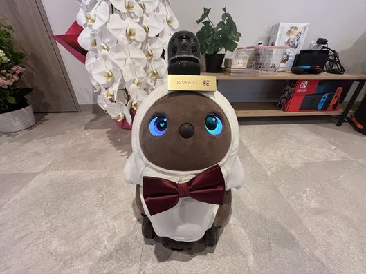 スタッフイメージ