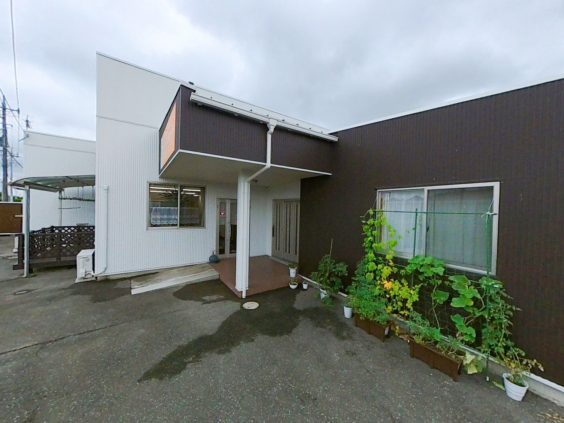 玄関前の植栽と建物