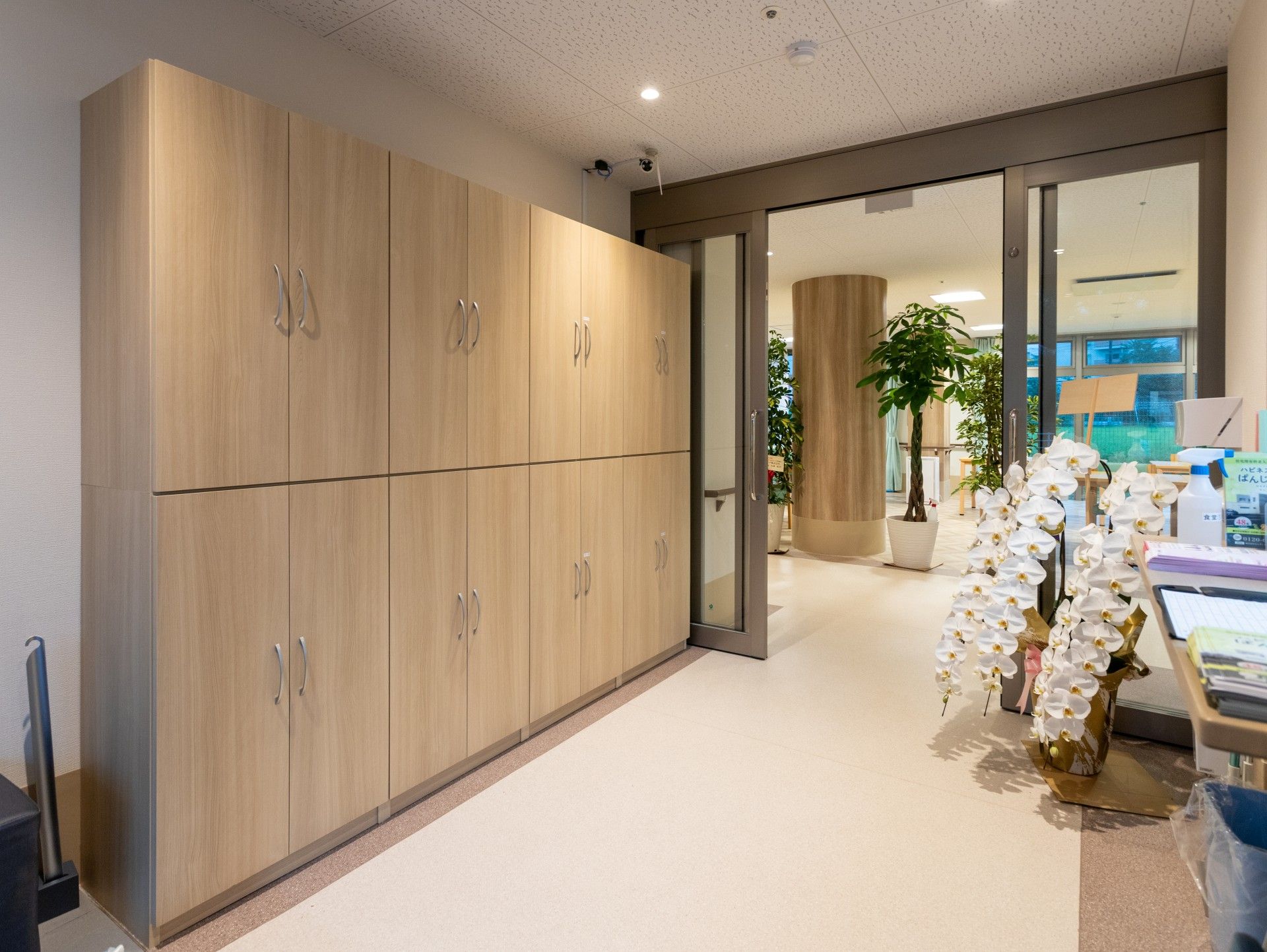 木製収納とガラス扉の廊下