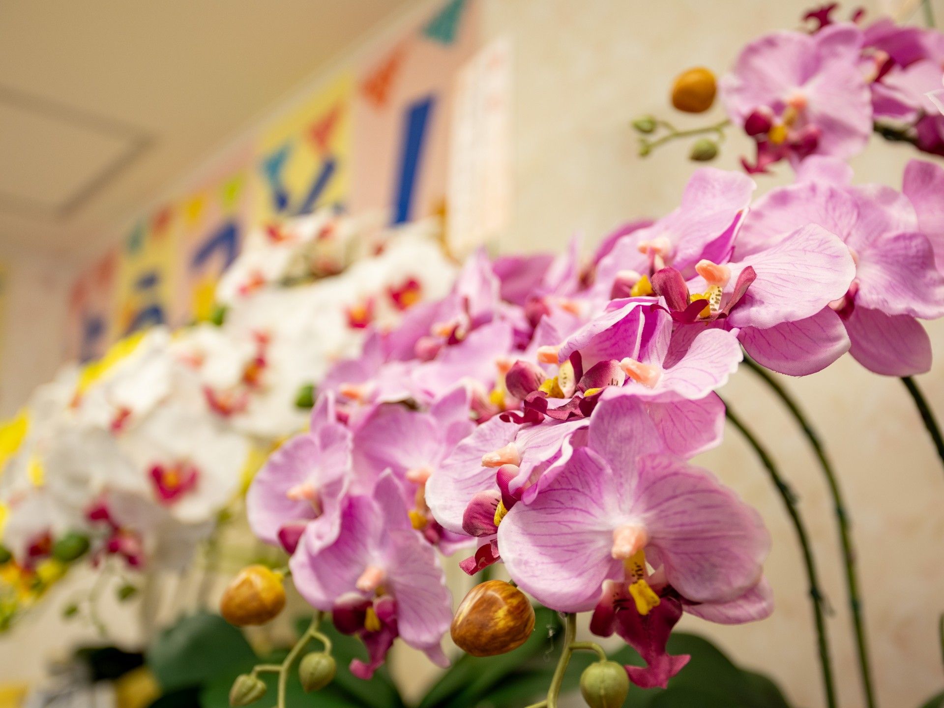 色鮮やかな花の飾り