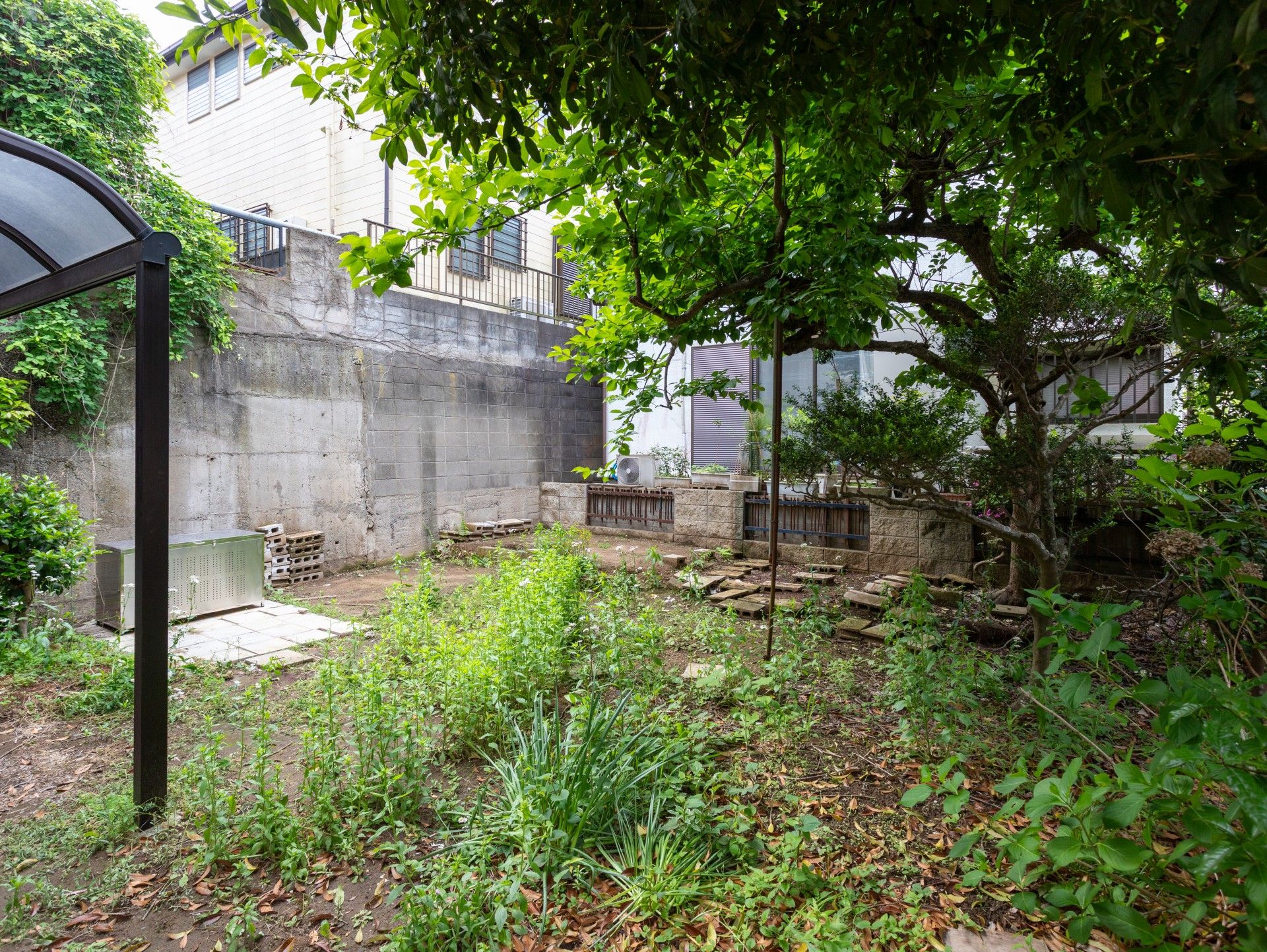 緑豊かな庭園