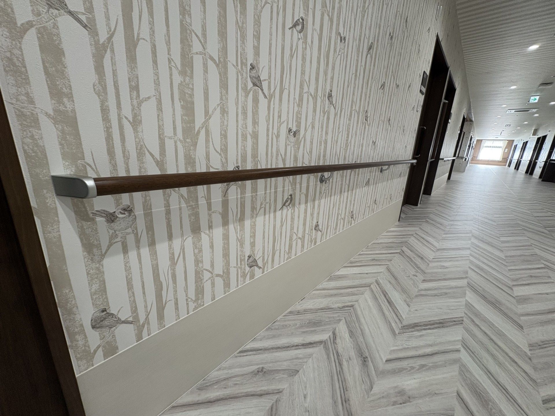 鳥の壁紙の廊下