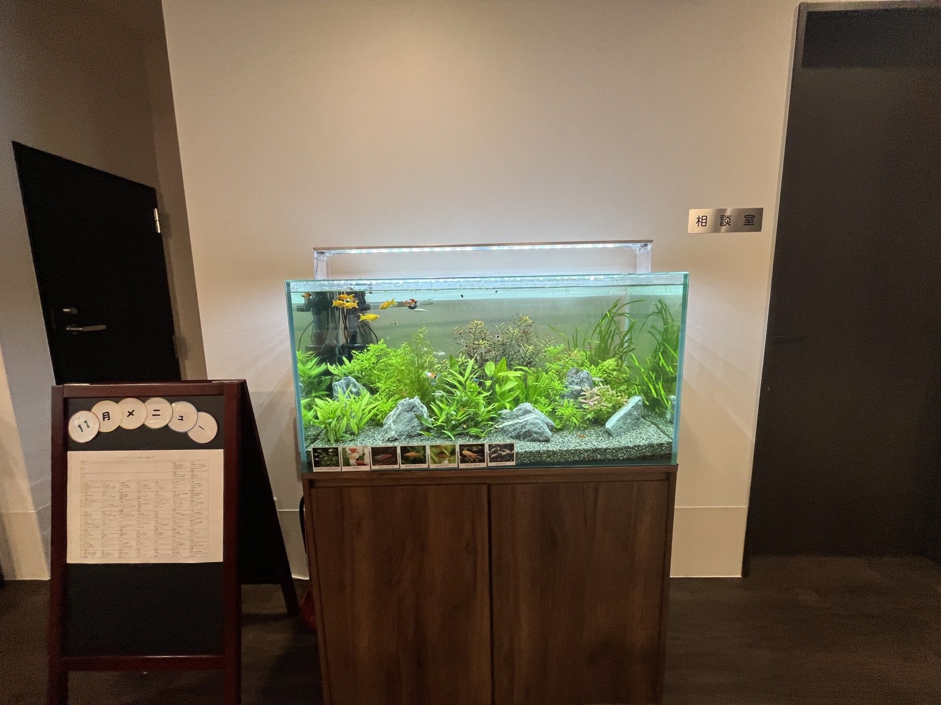 水槽と掲示板のある一角