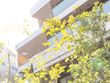 【リハビリ特化型ナーシングホーム】オリーブ・草津