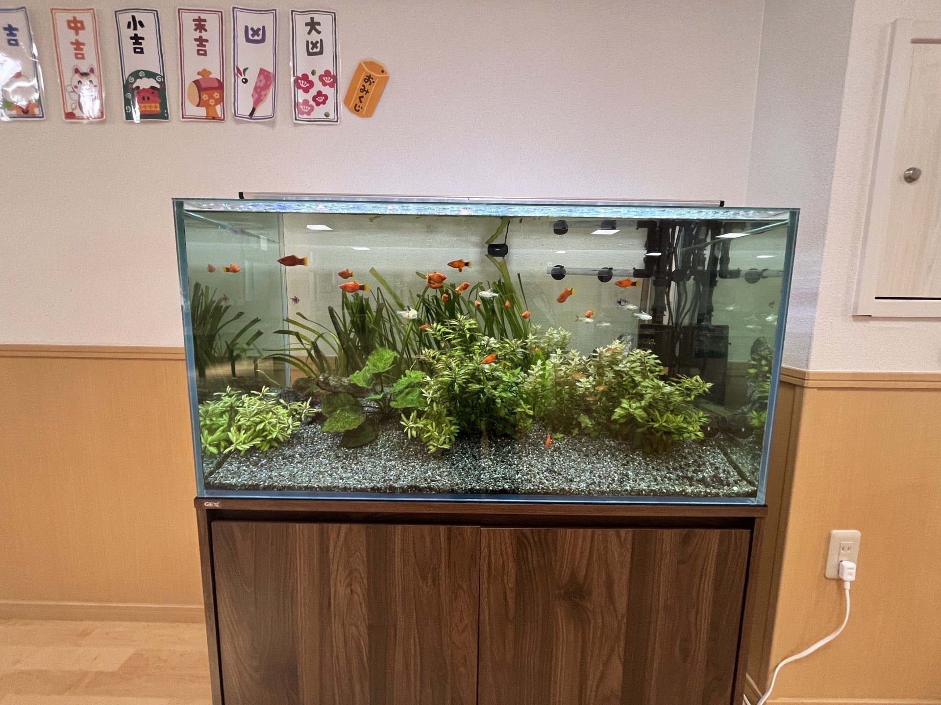 色とりどりの魚が泳ぐ水槽