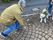 散歩中の高齢者と犬
