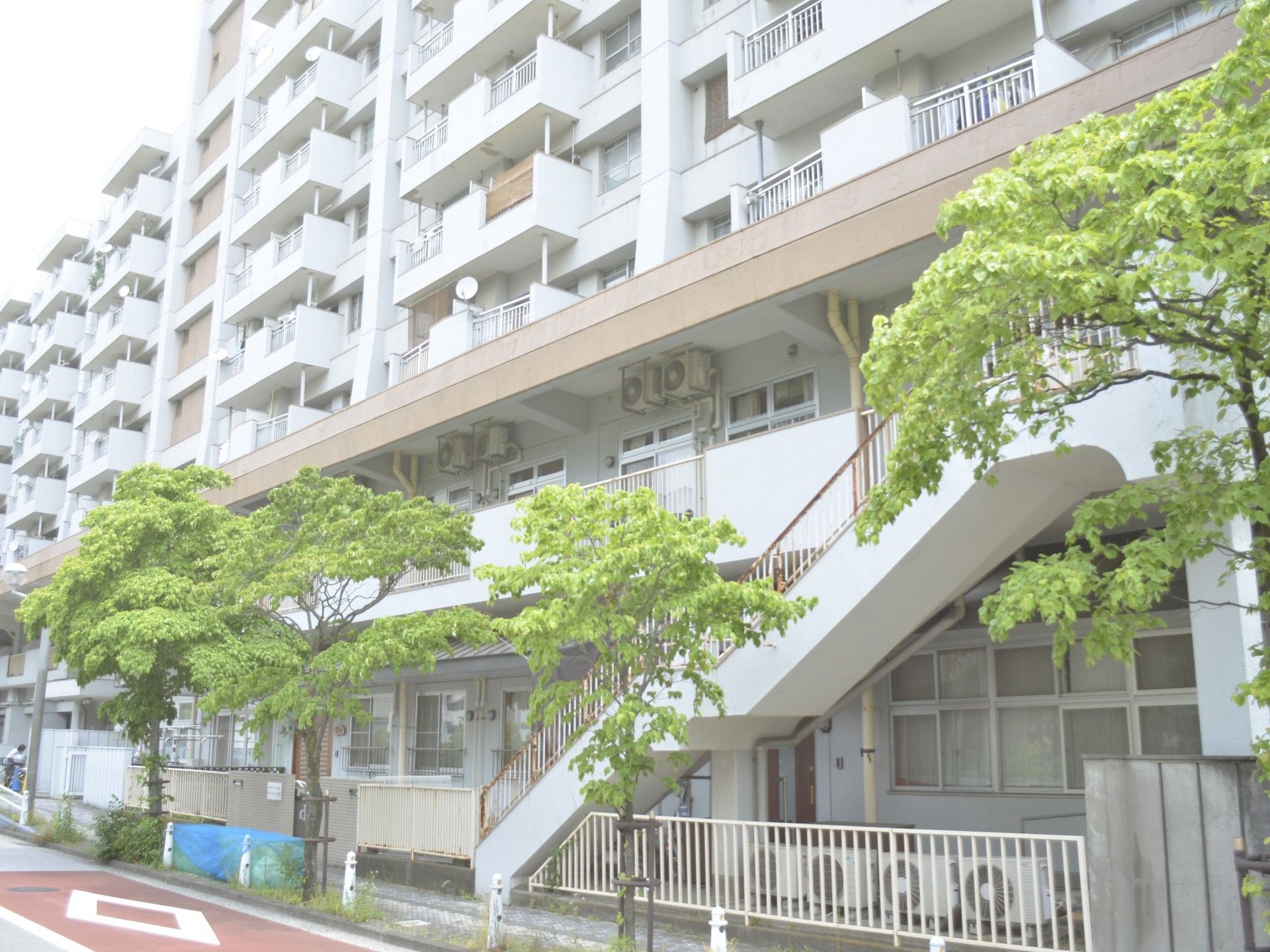 緑に囲まれた建物の外観