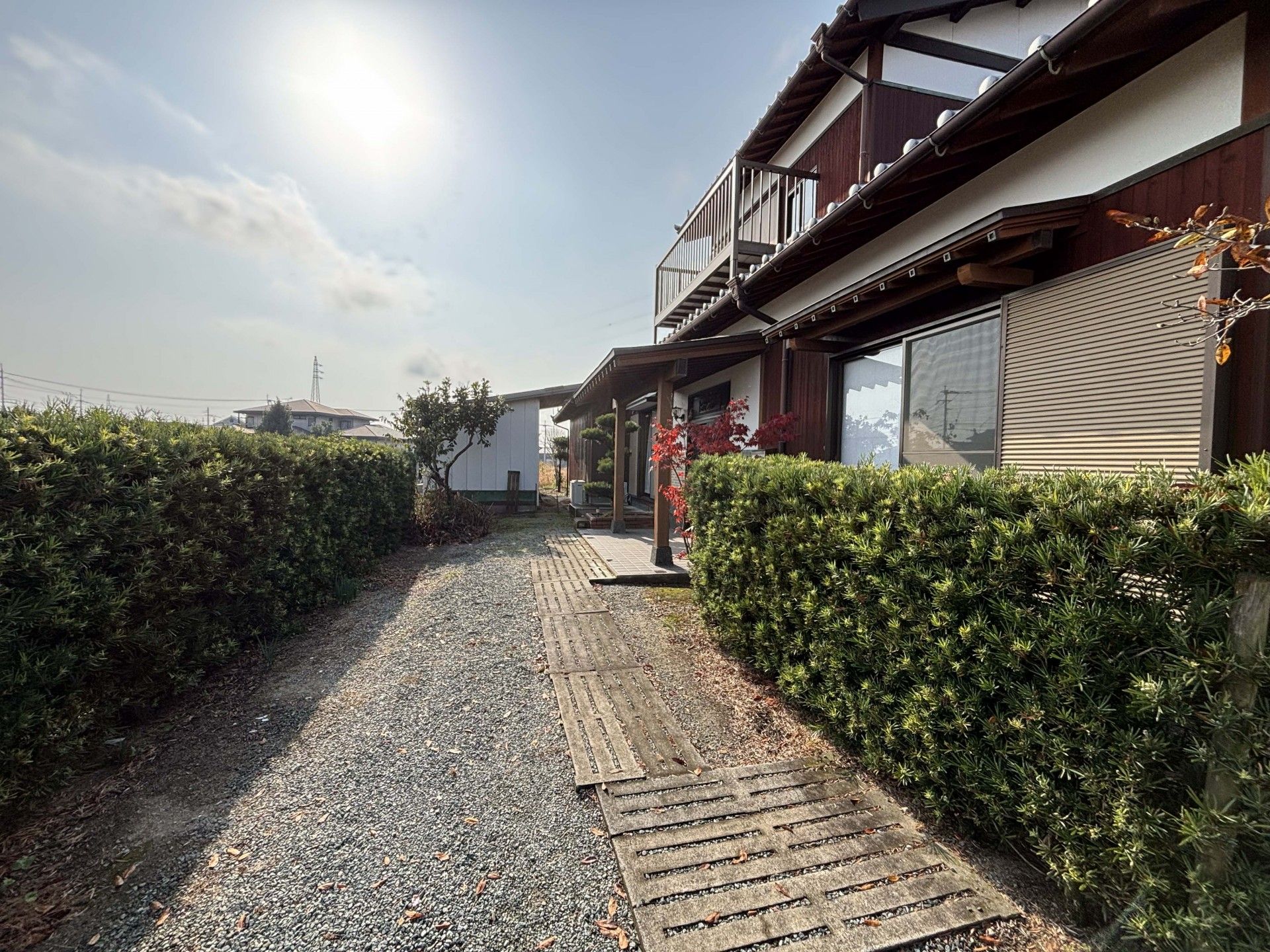 緑に囲まれた小道