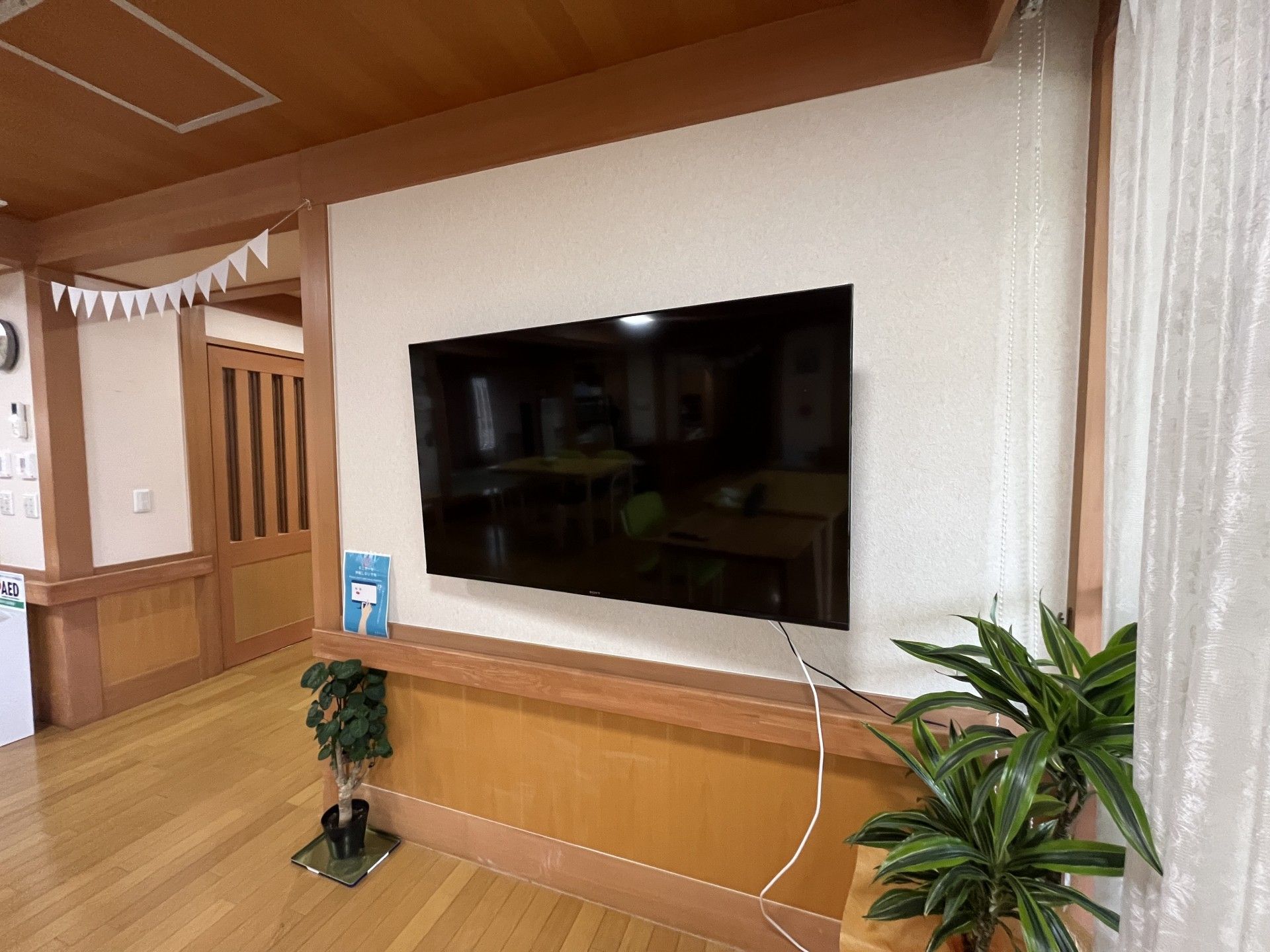 テレビと観葉植物のある壁