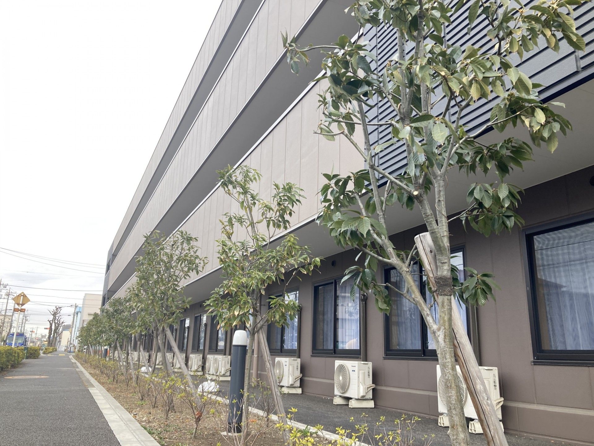 緑豊かな外観の建物