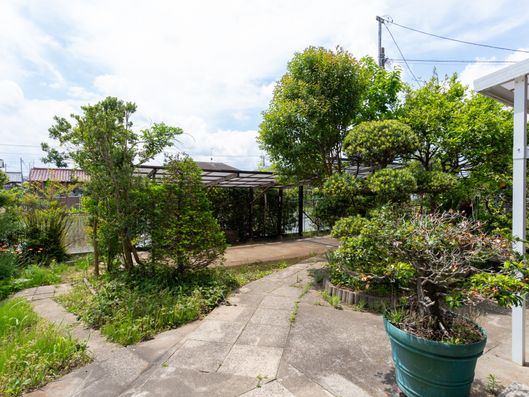 中庭
