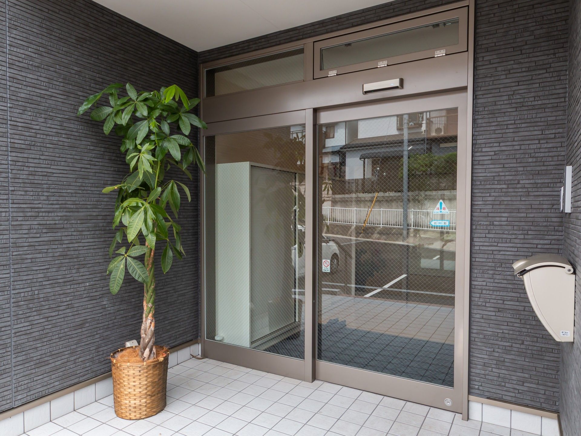 エントランスの植木