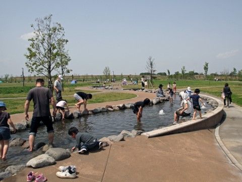 ホーム近くには広々とした公園がある。ちょっとした水遊び場があるので子供たちで賑わう。外出時の散歩でも利用している。