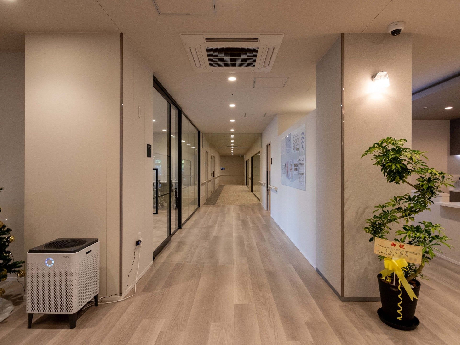 明るい廊下と植物