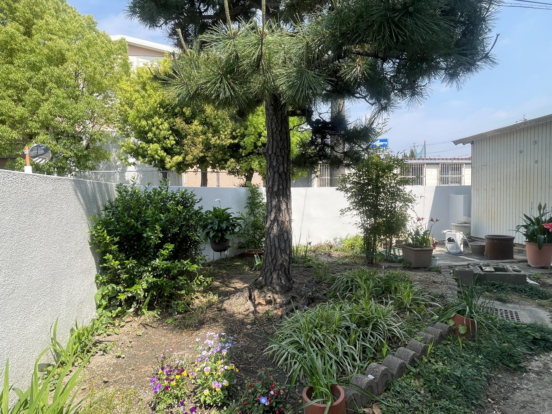 緑豊かな庭園