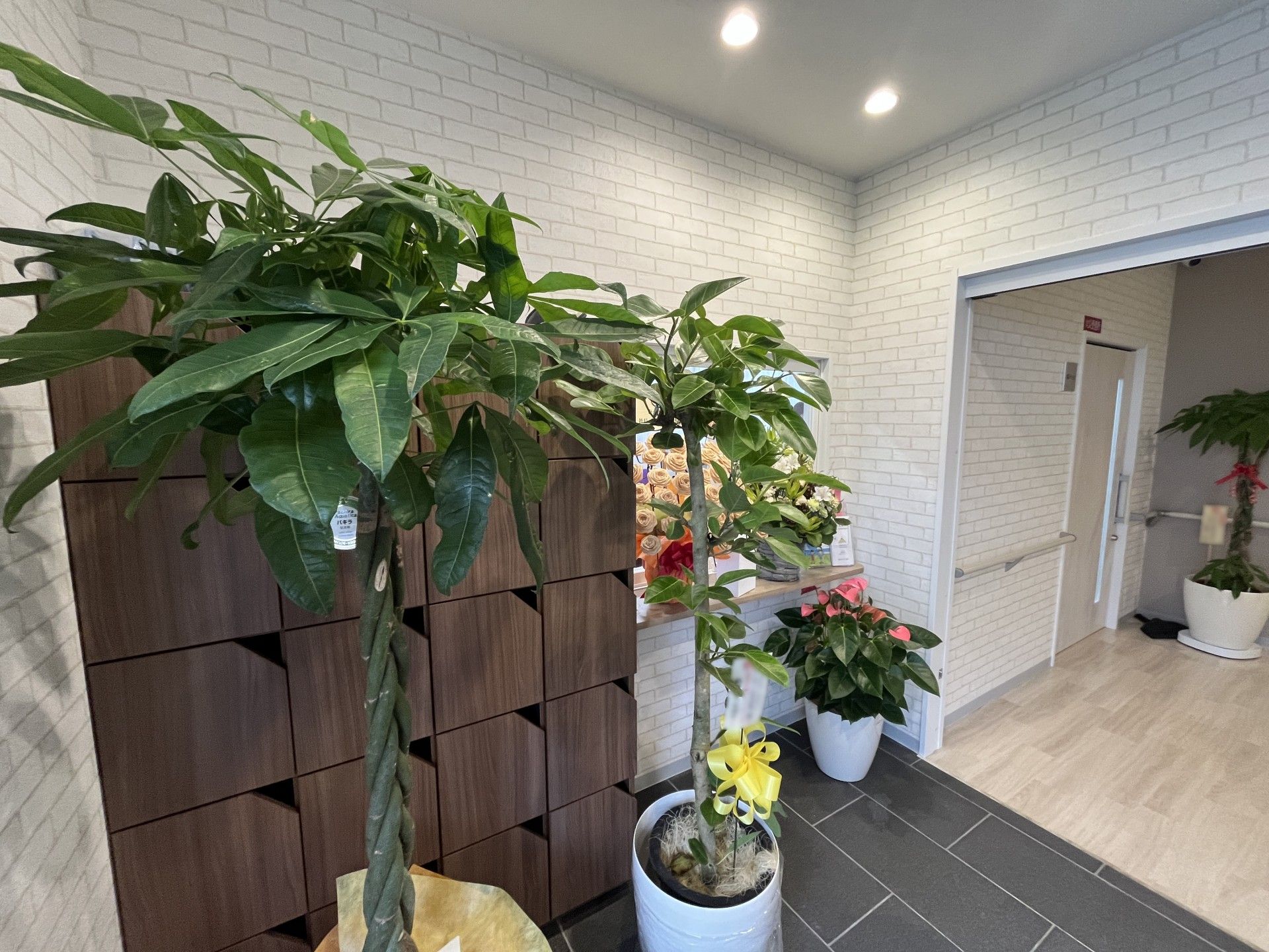 観葉植物が並ぶエントランス