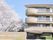桜の咲く建物外観