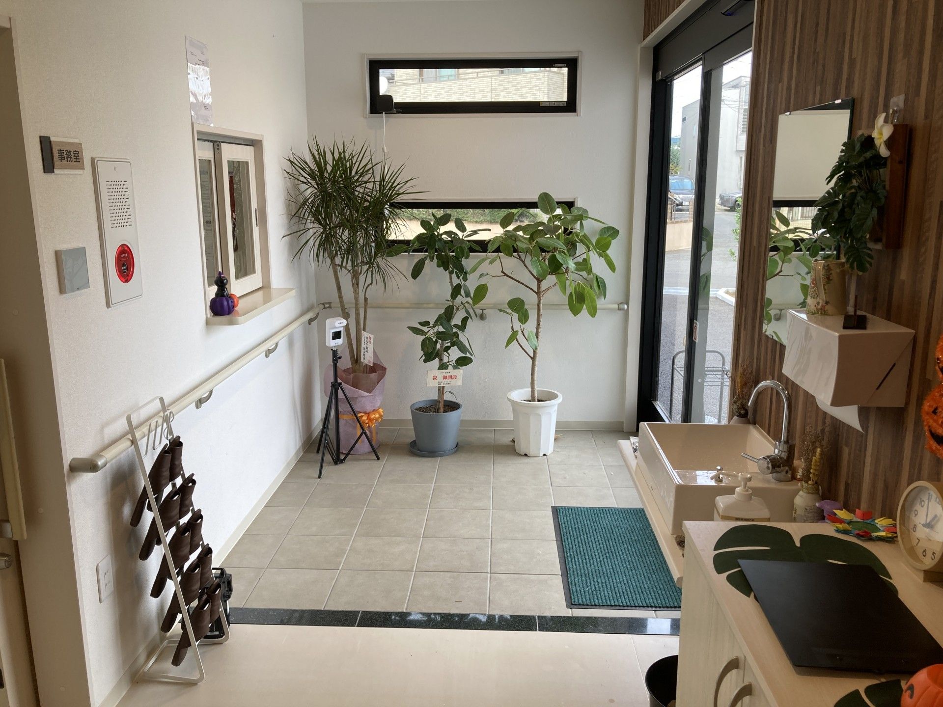 植物が飾られた明るい玄関