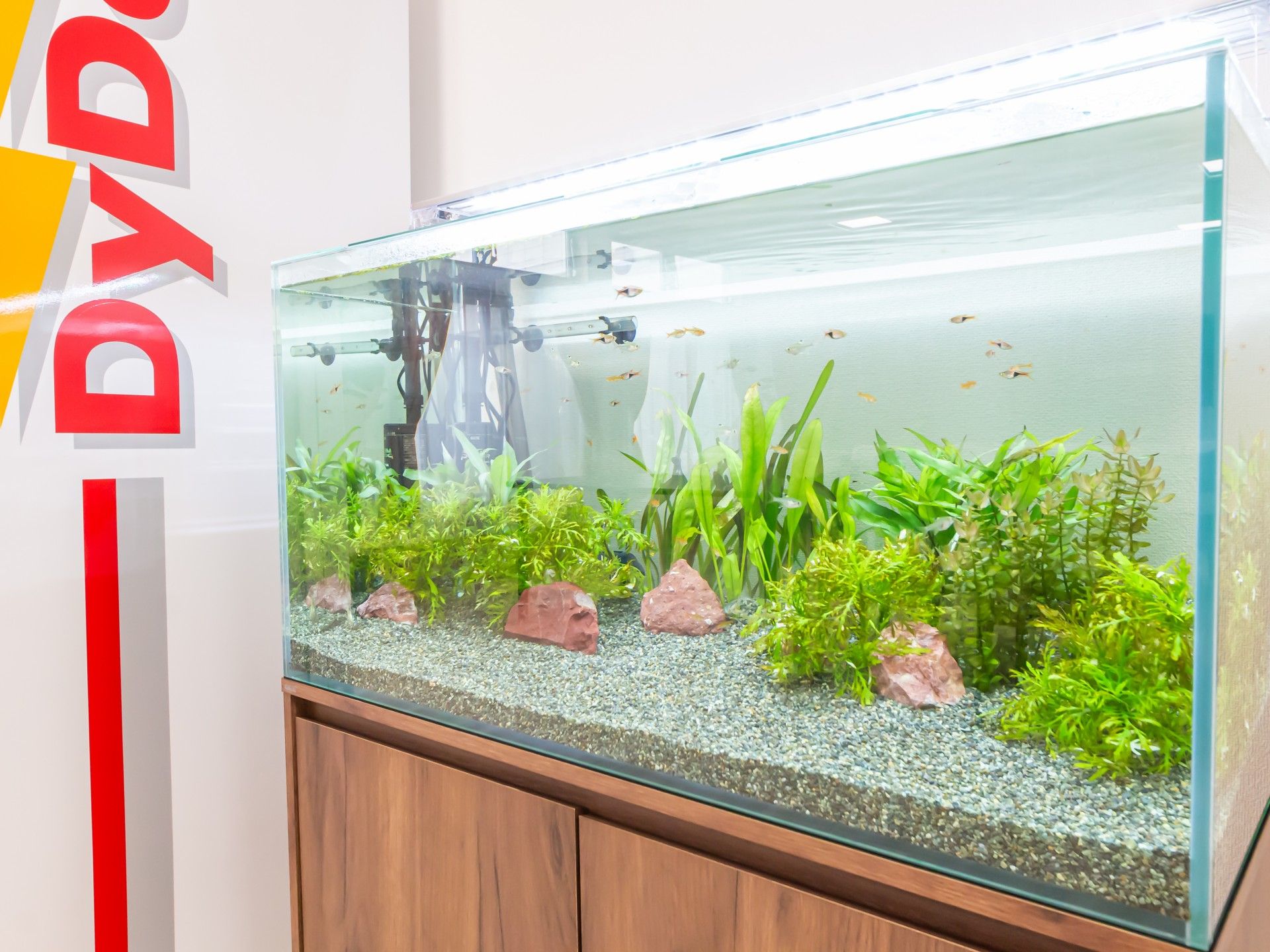 水槽のあるスペース