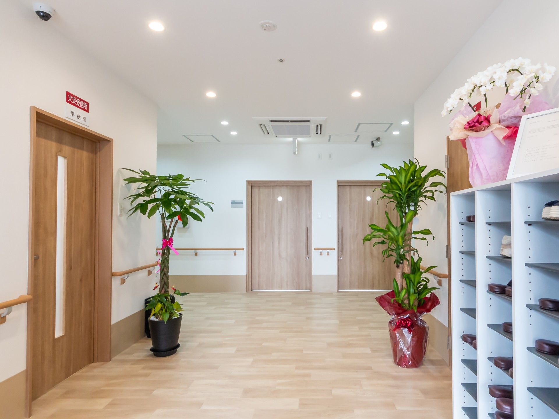 明るい廊下の様子