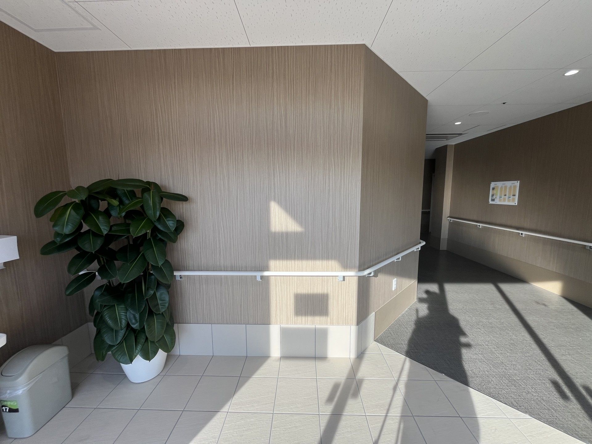 手すり付きの廊下