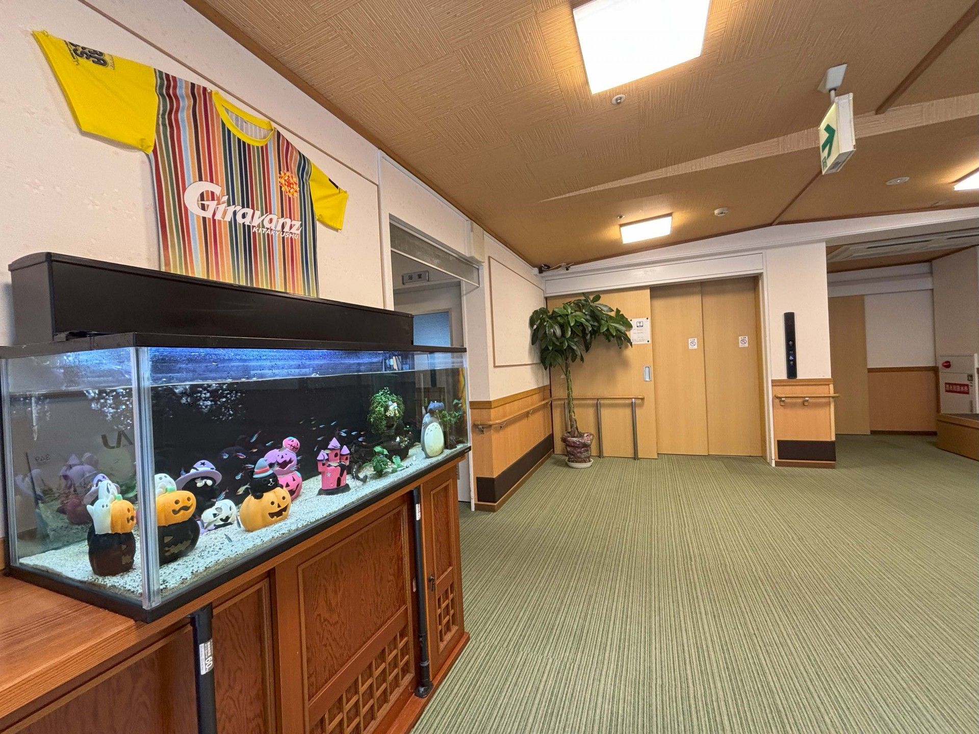 水槽とエレベーターのある廊下