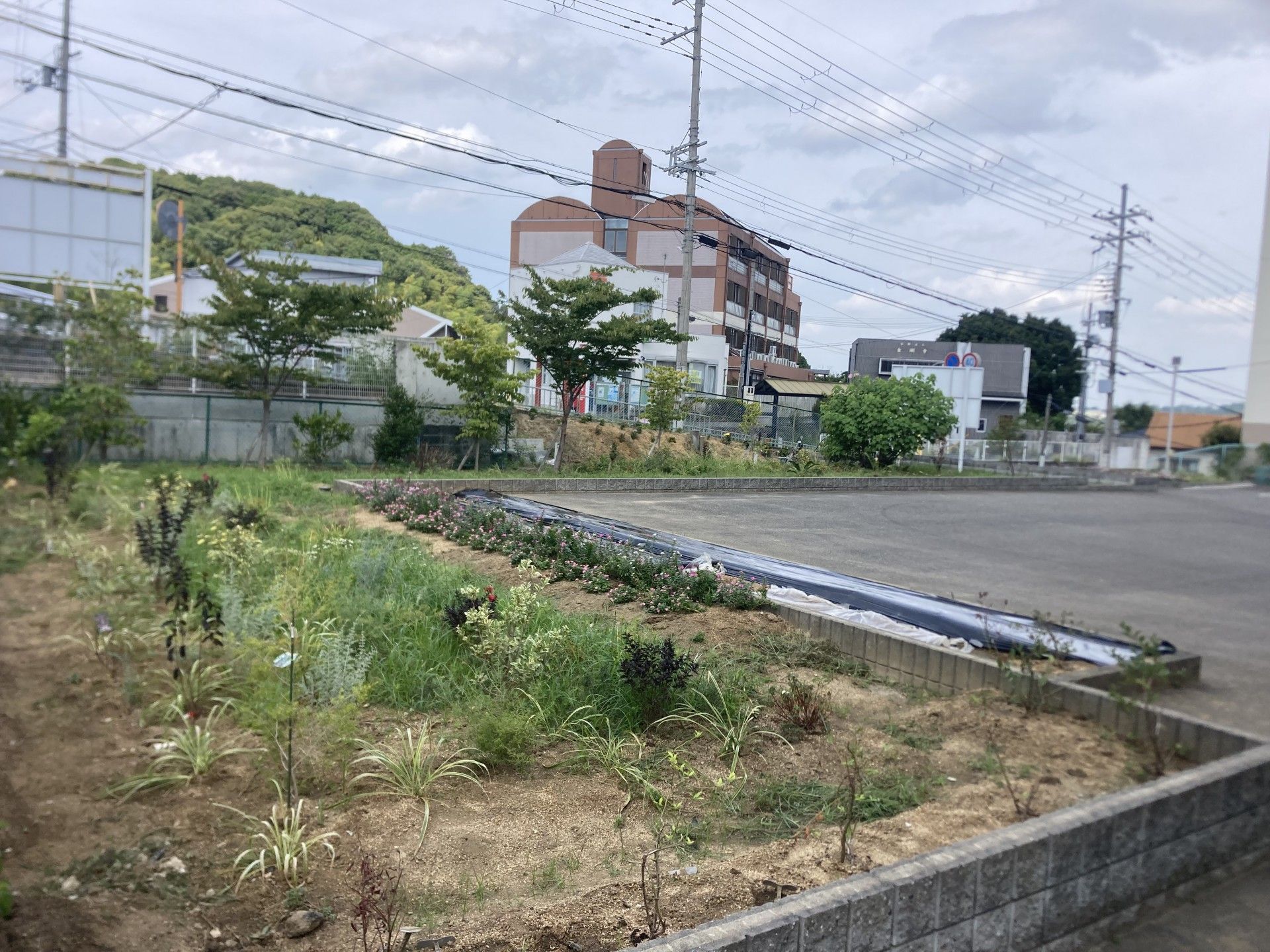 緑豊かな庭園
