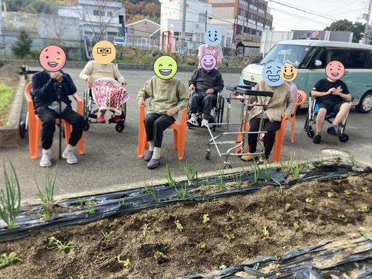 庭