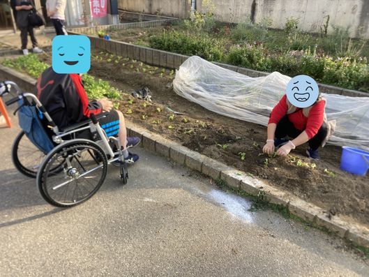庭