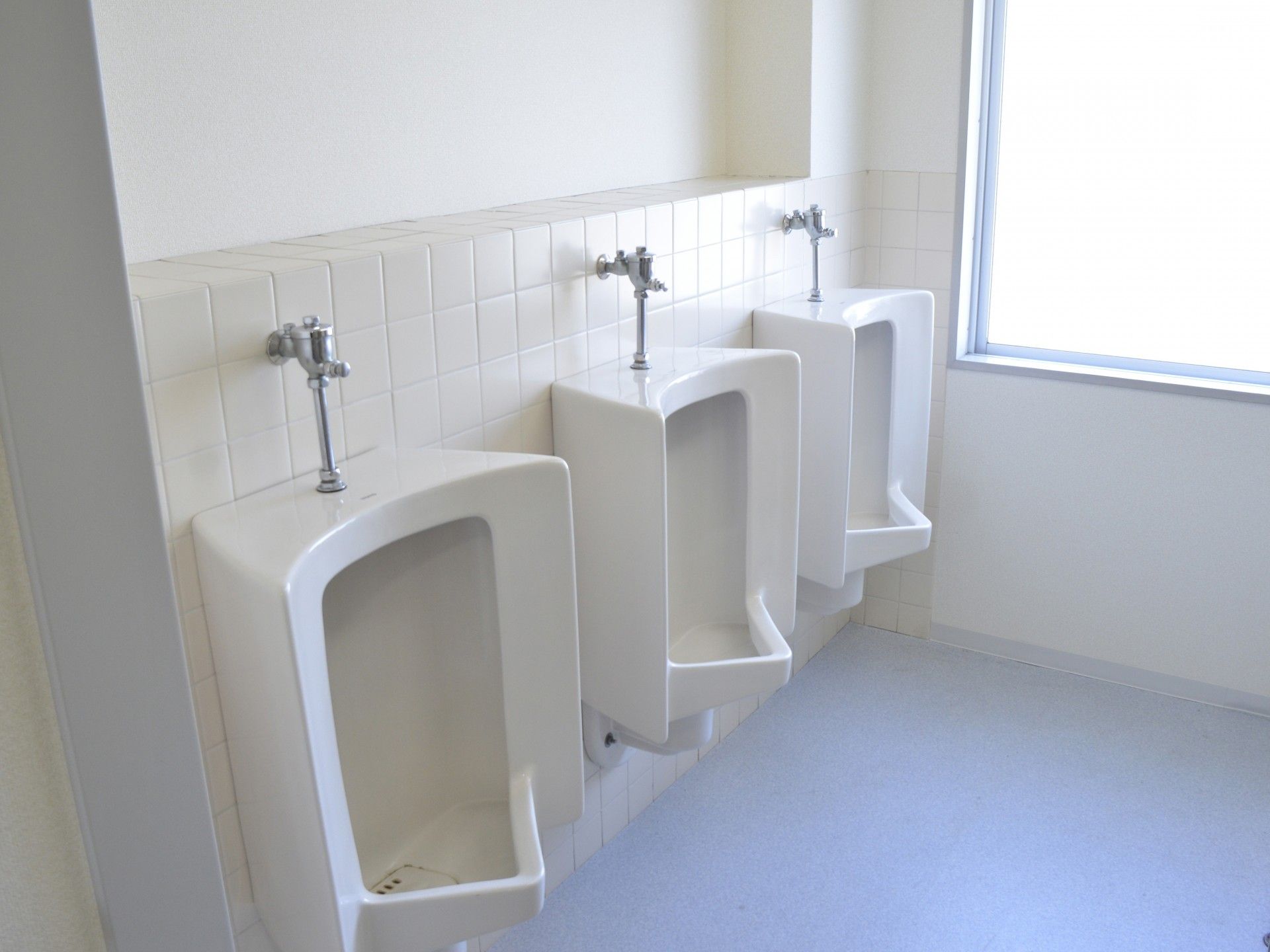 清潔なトイレの様子