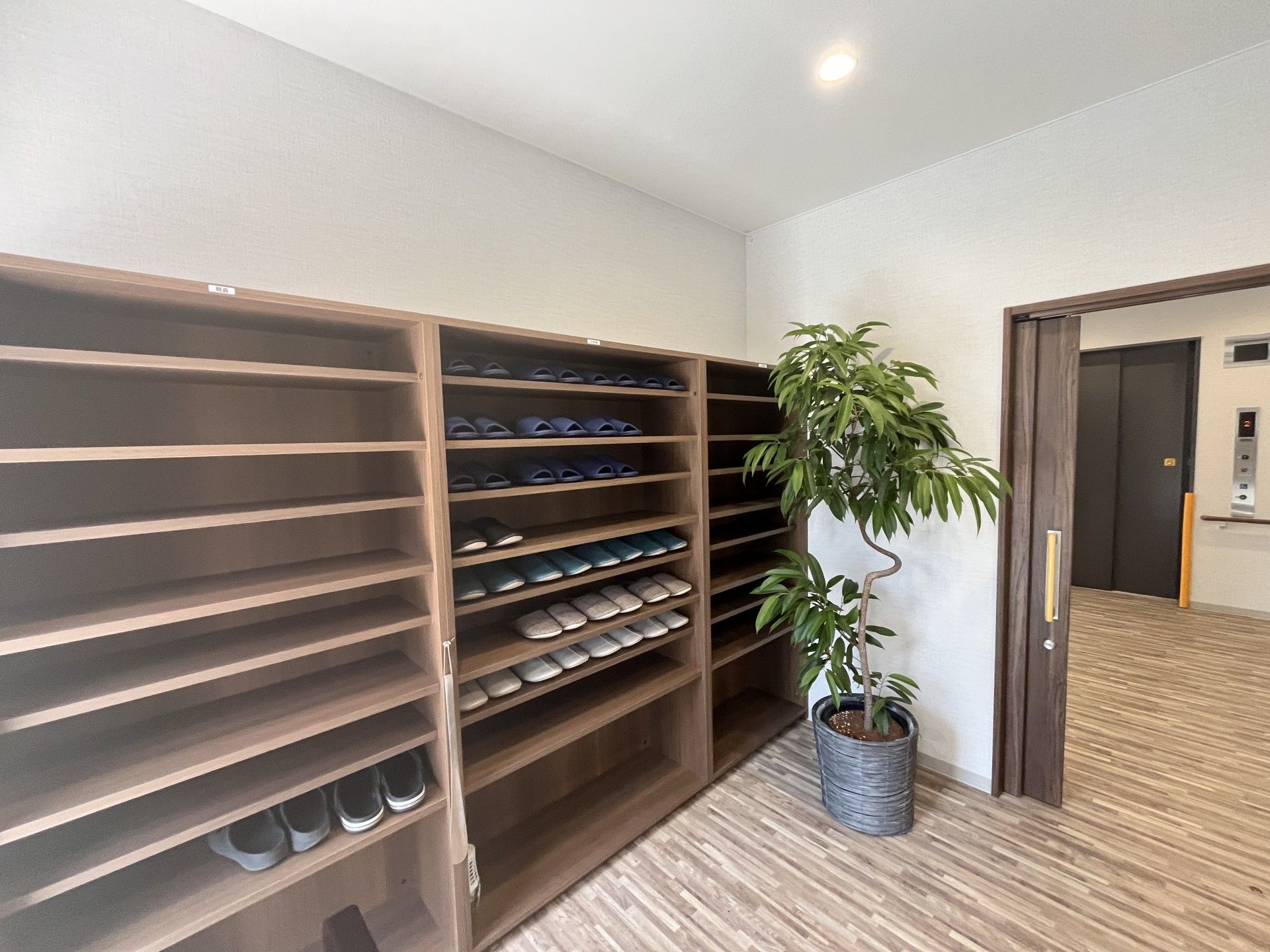 スリッパ棚と観葉植物