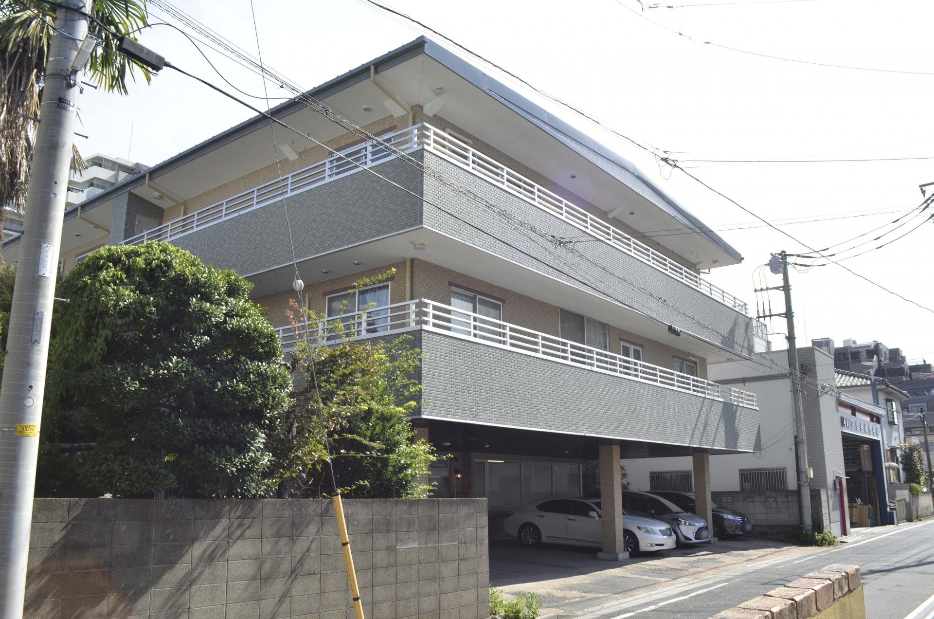 緑に囲まれた建物外観