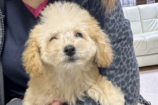 スタッフイメージ