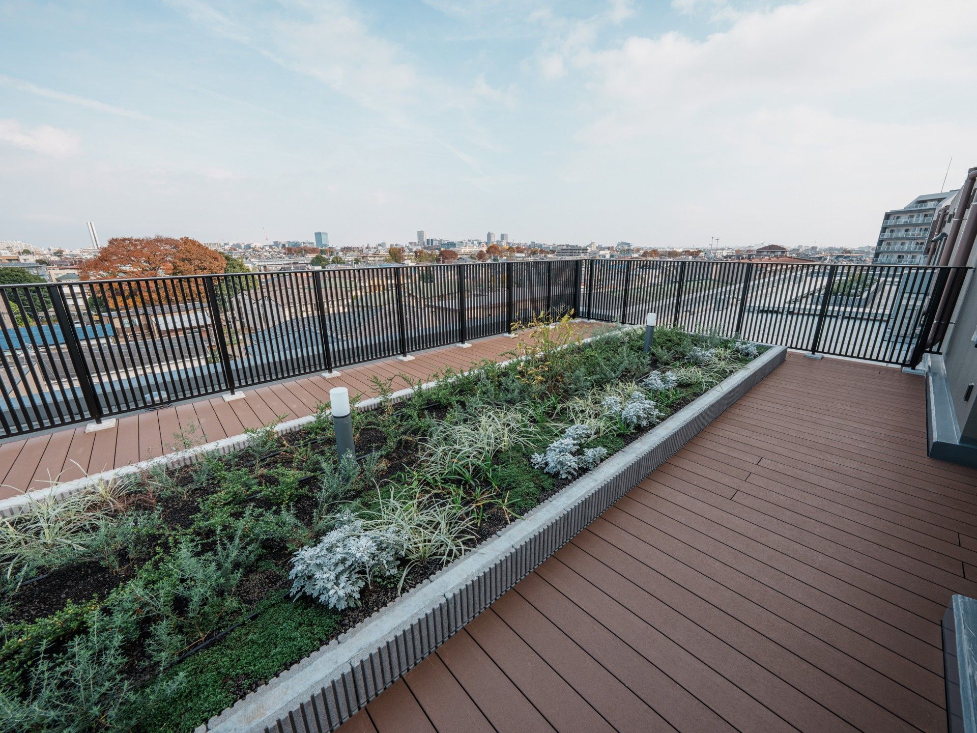 緑豊かな屋上庭園