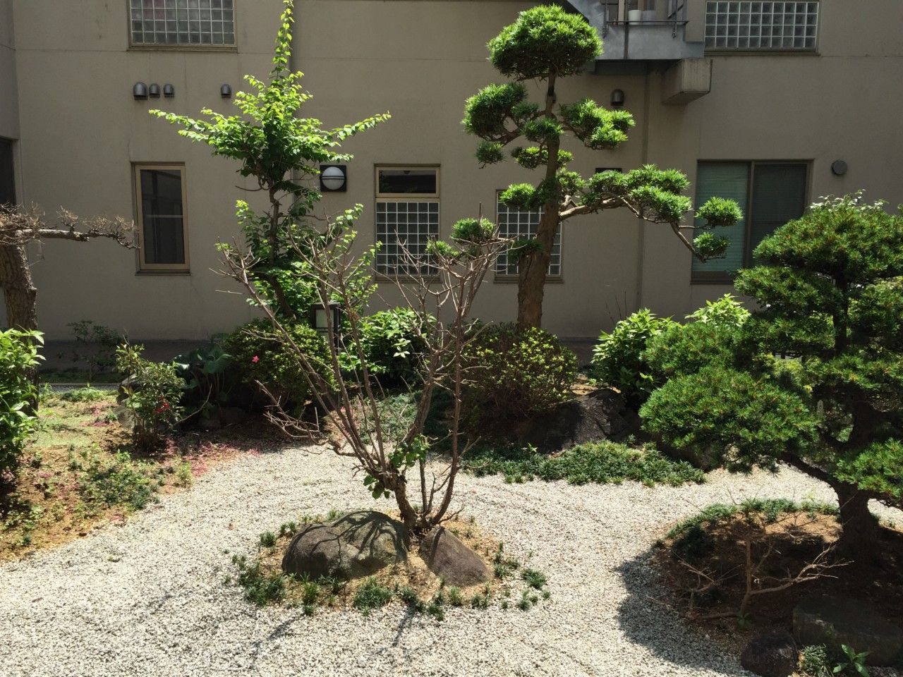 緑豊かな庭園風景