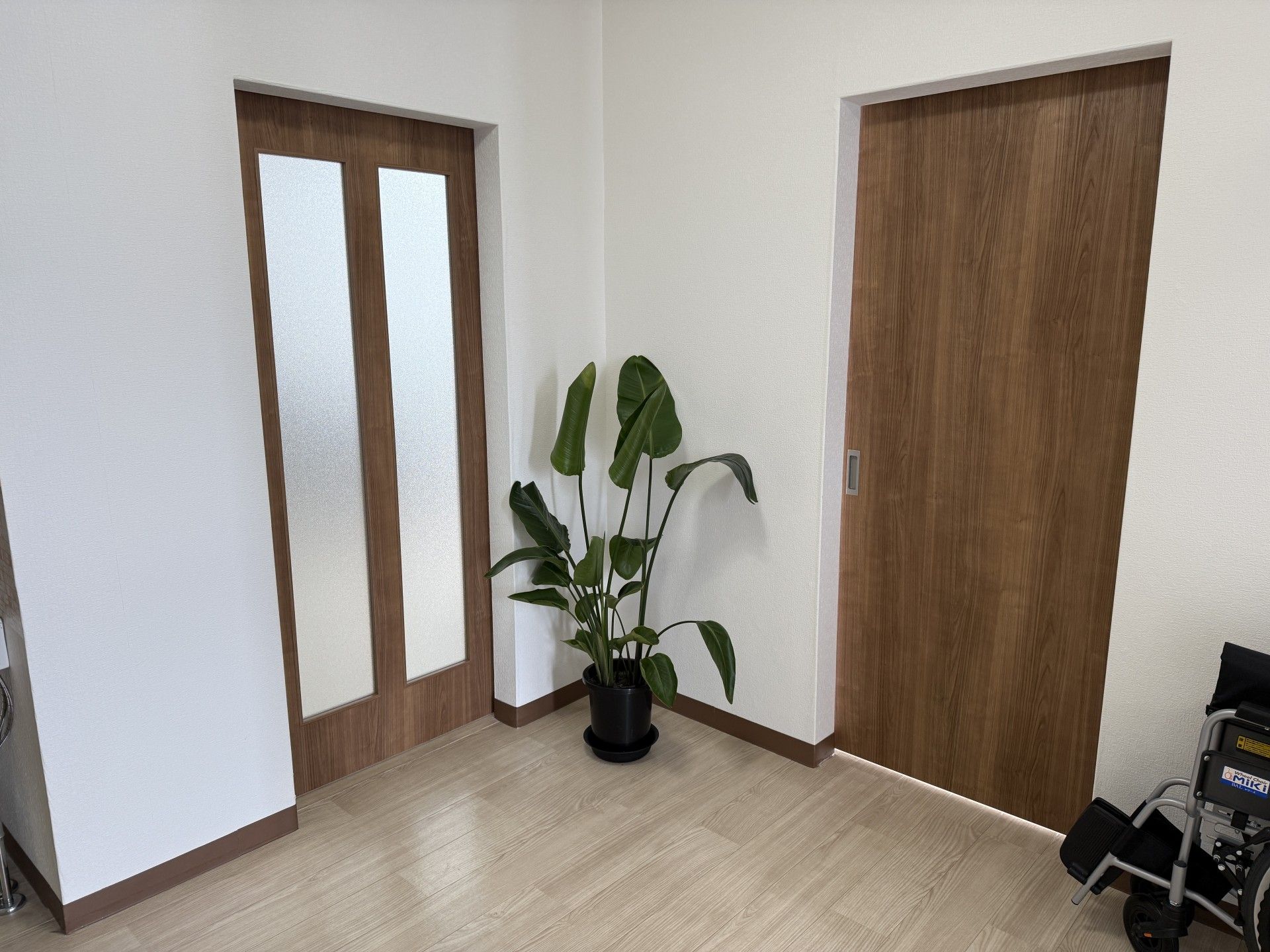 観葉植物と木製ドアの空間