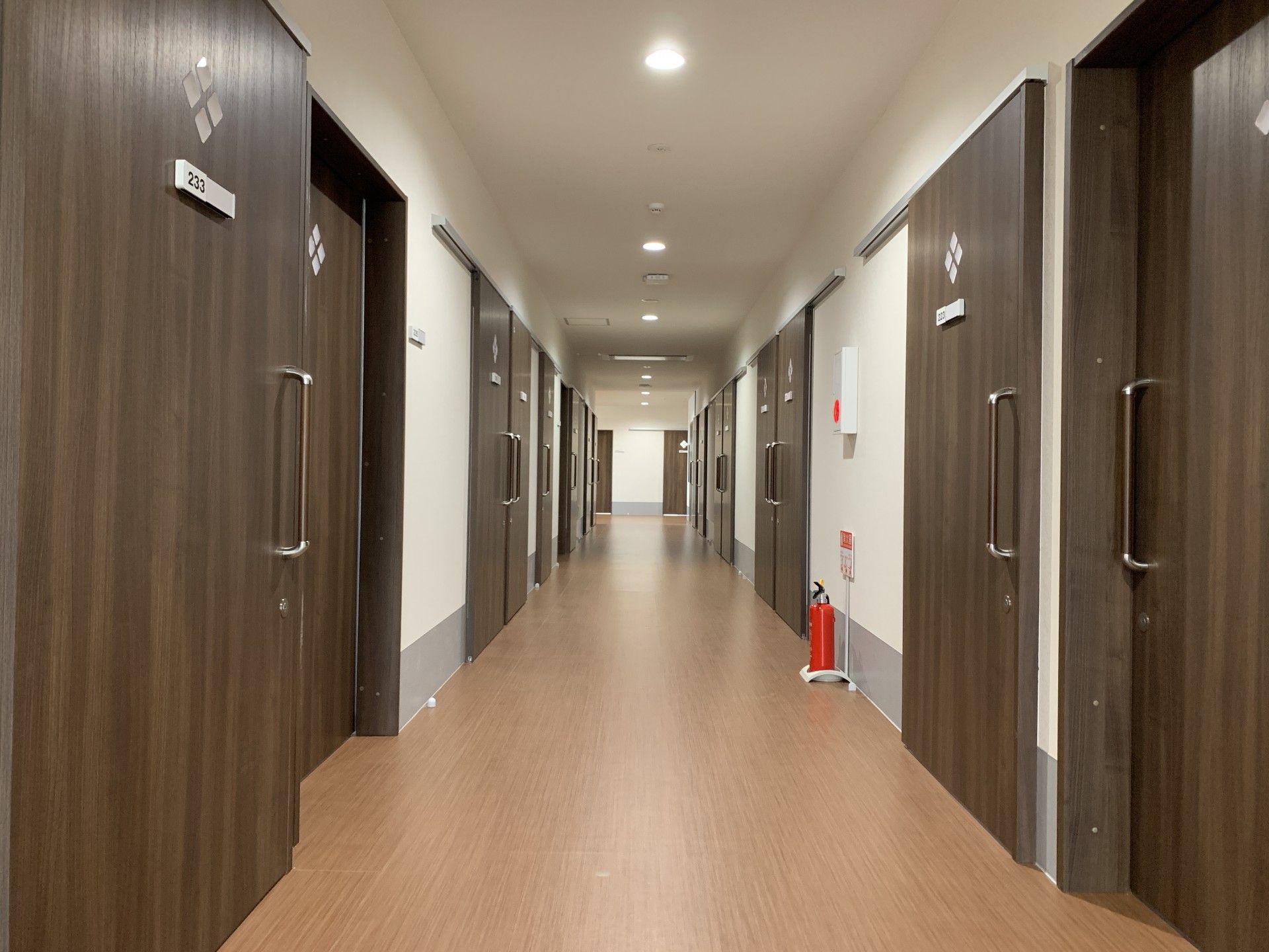 落ち着いた廊下