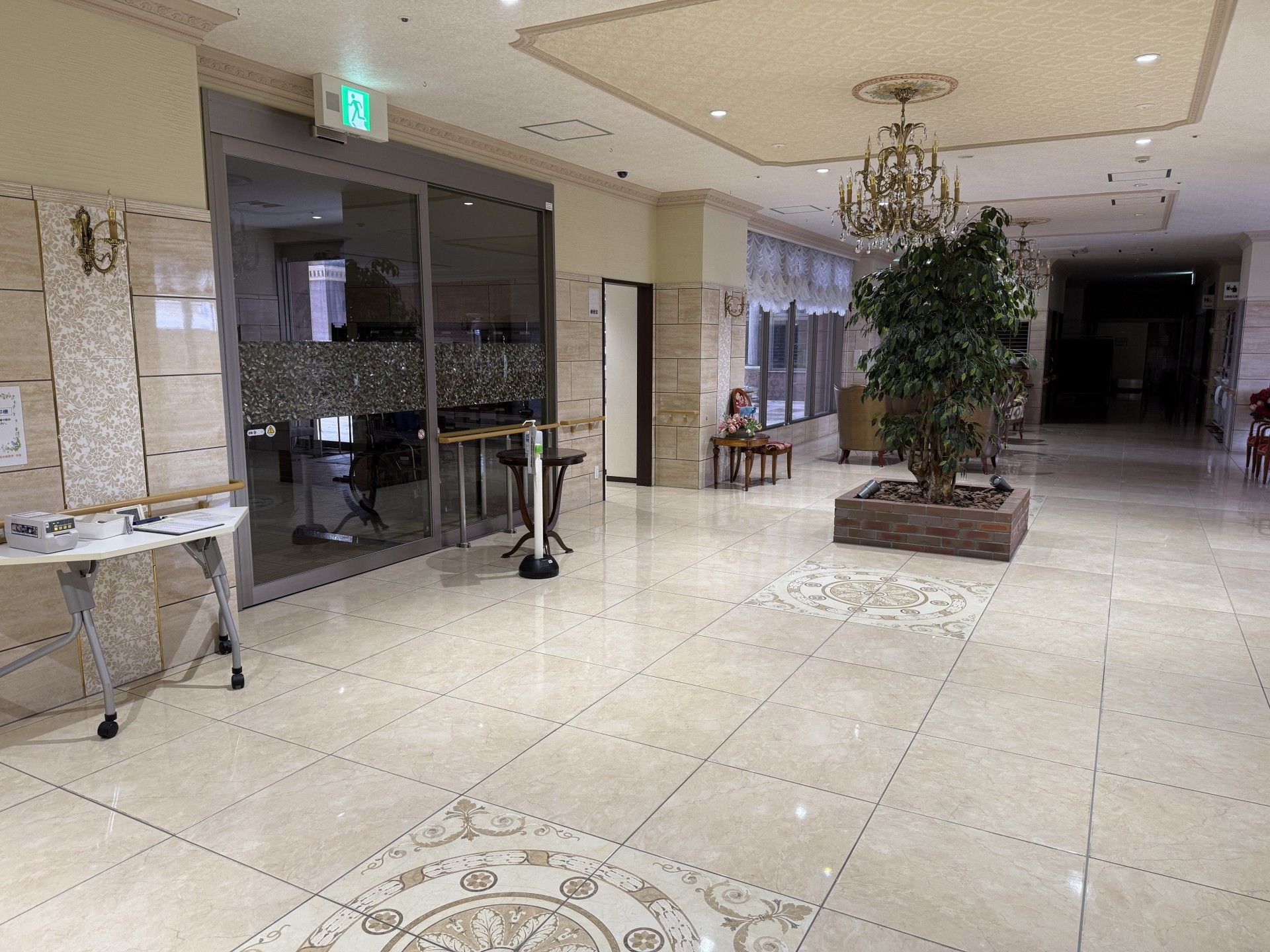 広い廊下と観葉植物