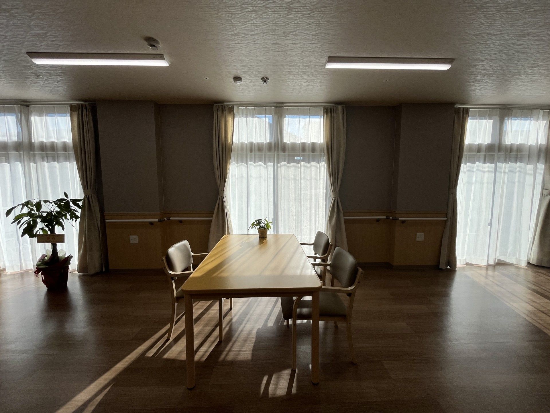 日差しが差し込む部屋