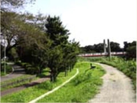 川に沿うように整備された公園は自然豊かで、動植物の営みに触れながら、ゆったりお過ごしいただける場所である。