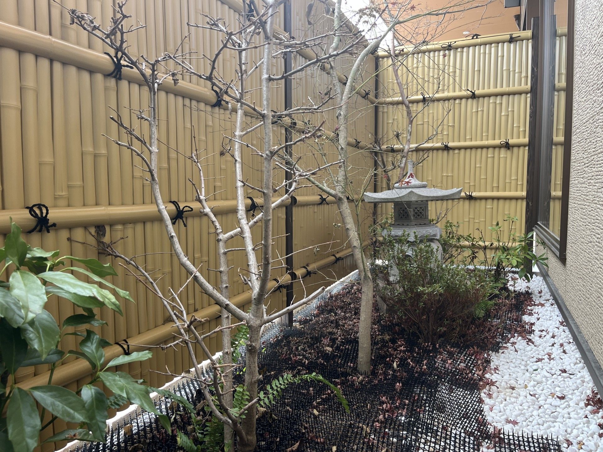 和風の庭園スペース