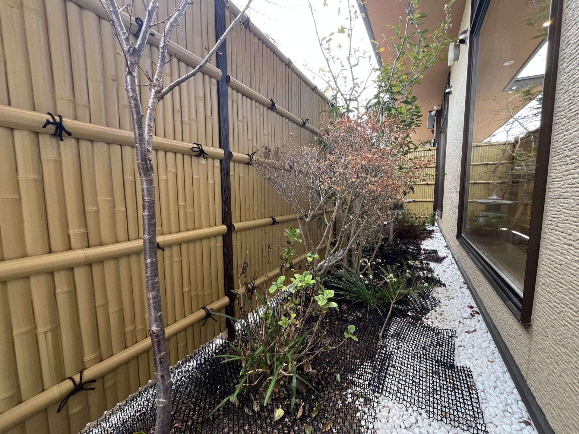 庭の植栽と竹垣