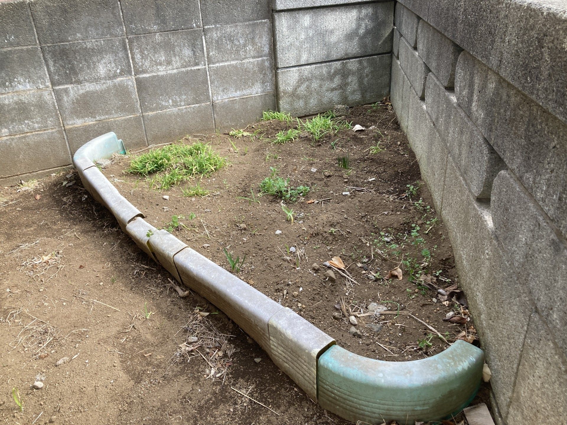 小さな庭の一角