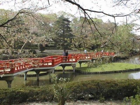 広い公園へと散歩に出かけられる。歩く距離が長めで運動になる。池や朱色の橋がかかっている趣がある場所である。