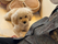 犬と一緒にくつろぐ様子
