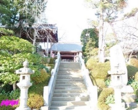 施設の近隣にある寺院には、落ち着いた雰囲気と豊かな自然がある。歴史と文化に触れあいながら、ゆっくりと散策していただける。