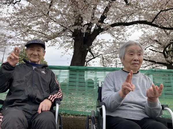 桜の下で過ごすご高齢者