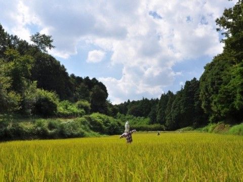 施設周辺には大きな公園があり、自然に囲まれた環境である。天気の良い日には散策や、日光浴などを楽しむことができる。